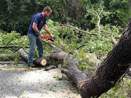 Best Seasonal Cleanup (Spring/Fall)  in Leonardo, NJ